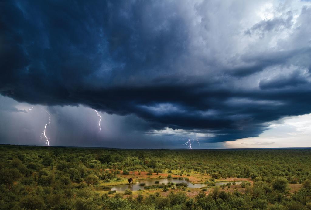 Victoria Falls Safari Lodge Dış mekan fotoğraf